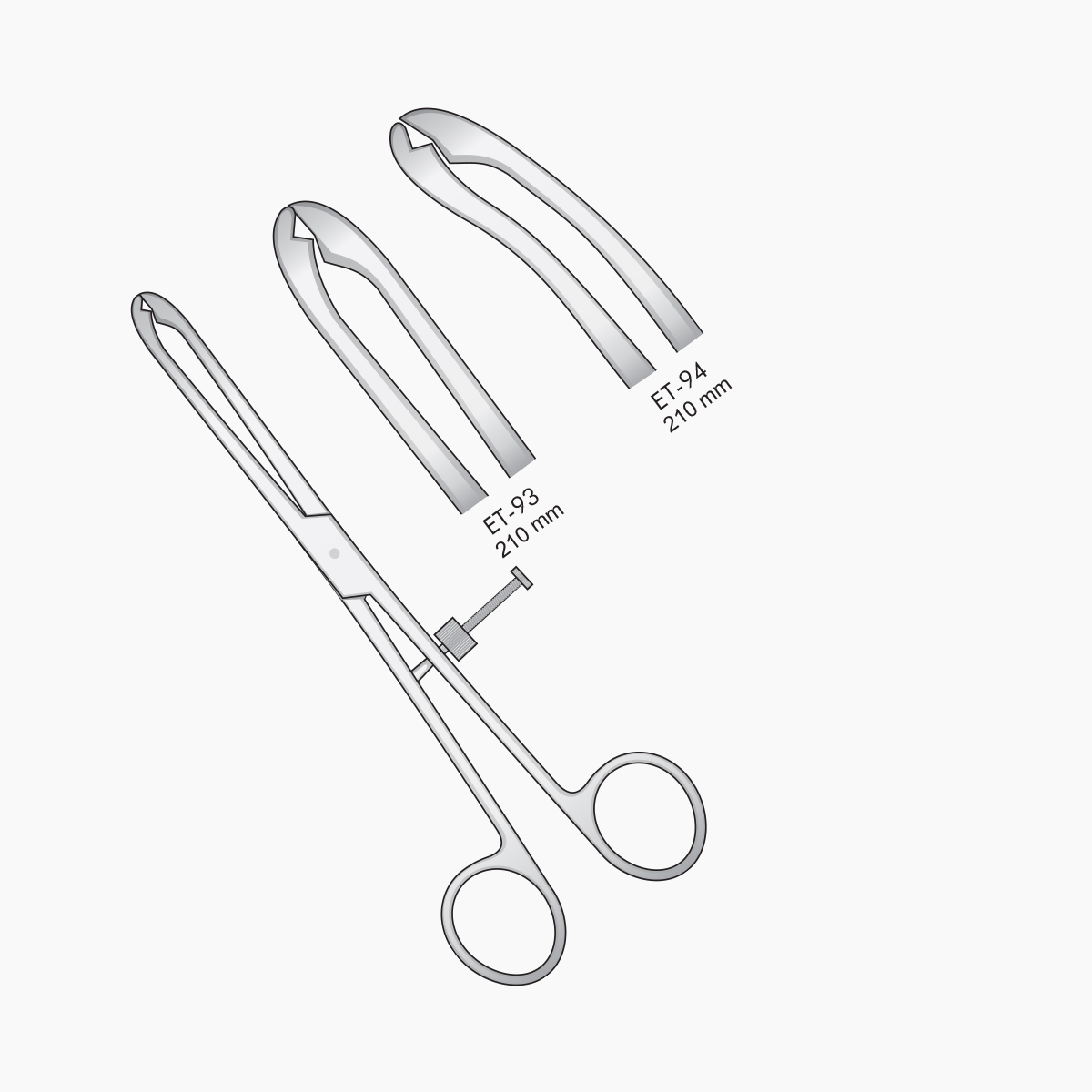 fibula-bone-surgery